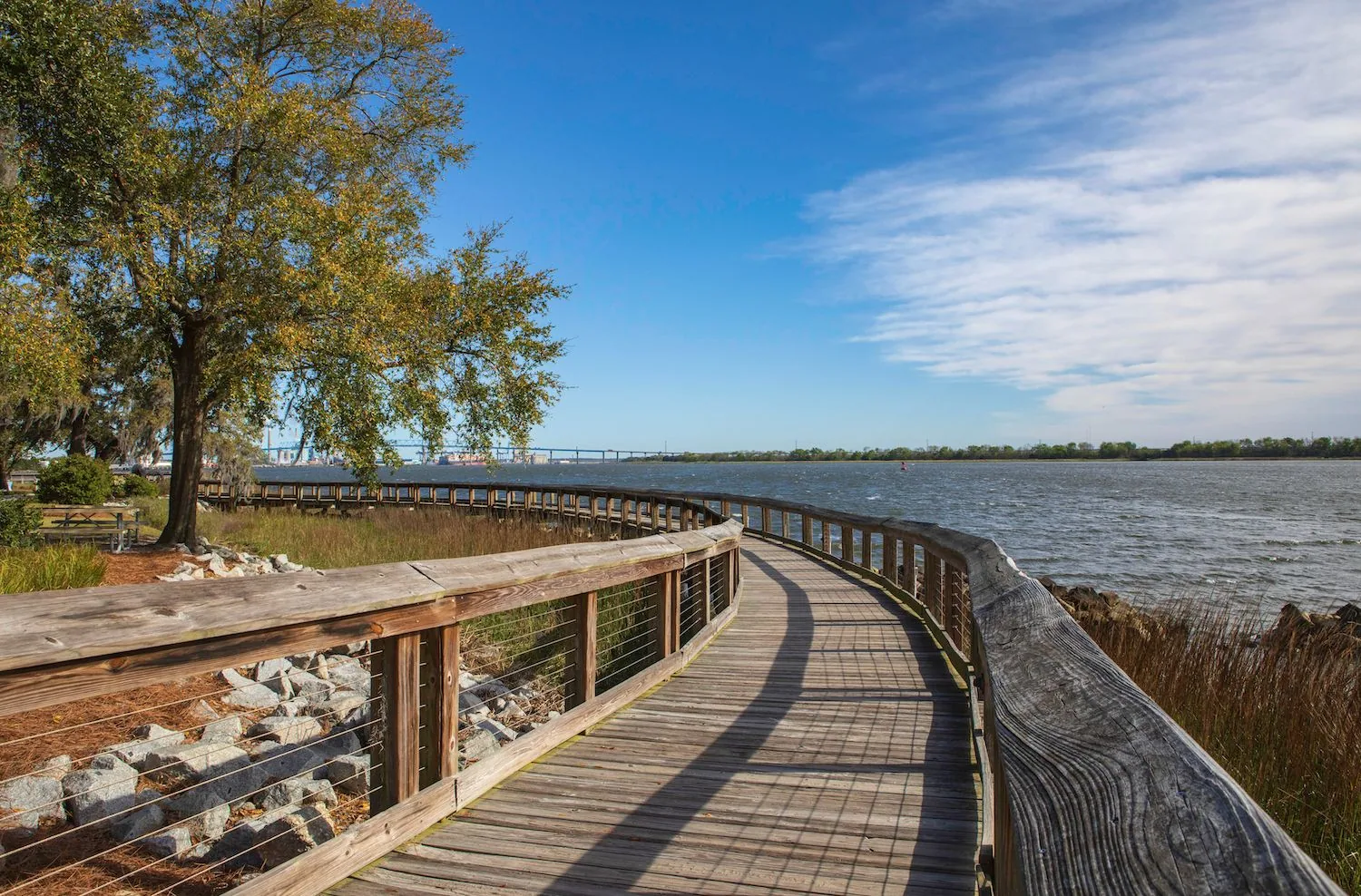 Boardwalk along the Cooper River shoreline