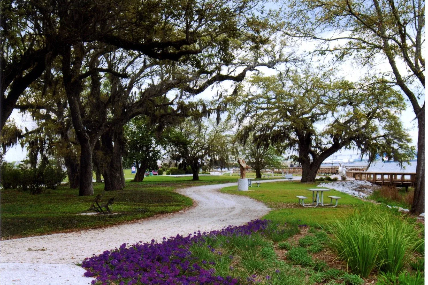 Live oaks and waterfront park near Charleston