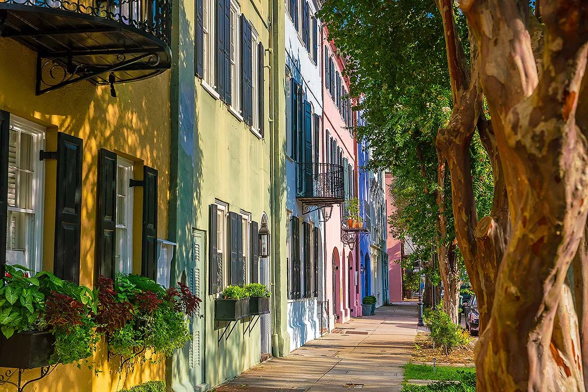 Painted rowhouses and oak shade in Charleston